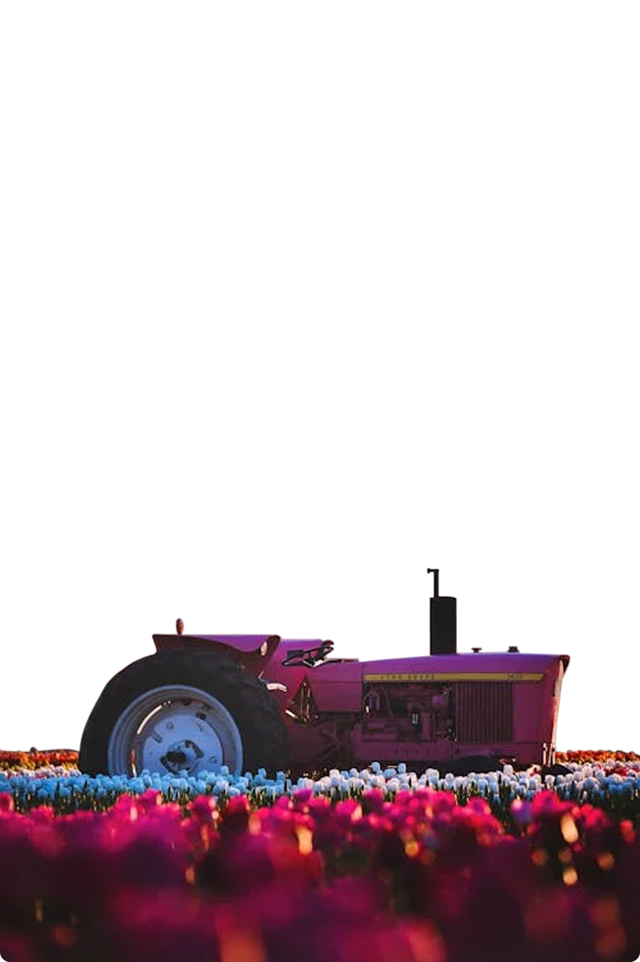 Traktor auf einem Feld